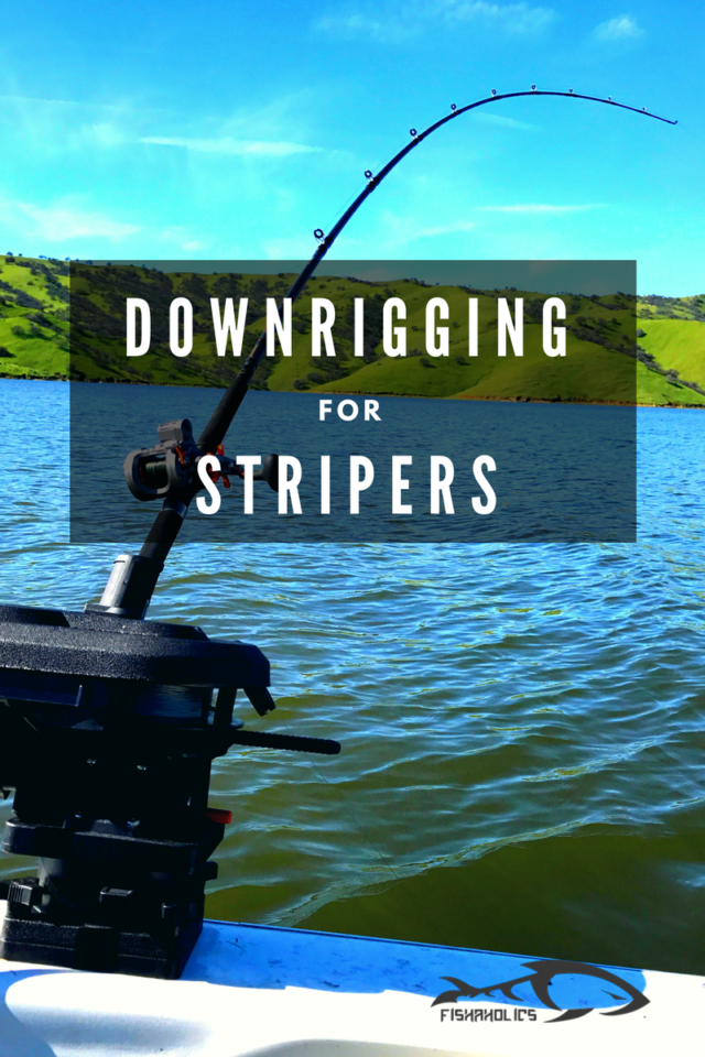 Downrigging For Stripers